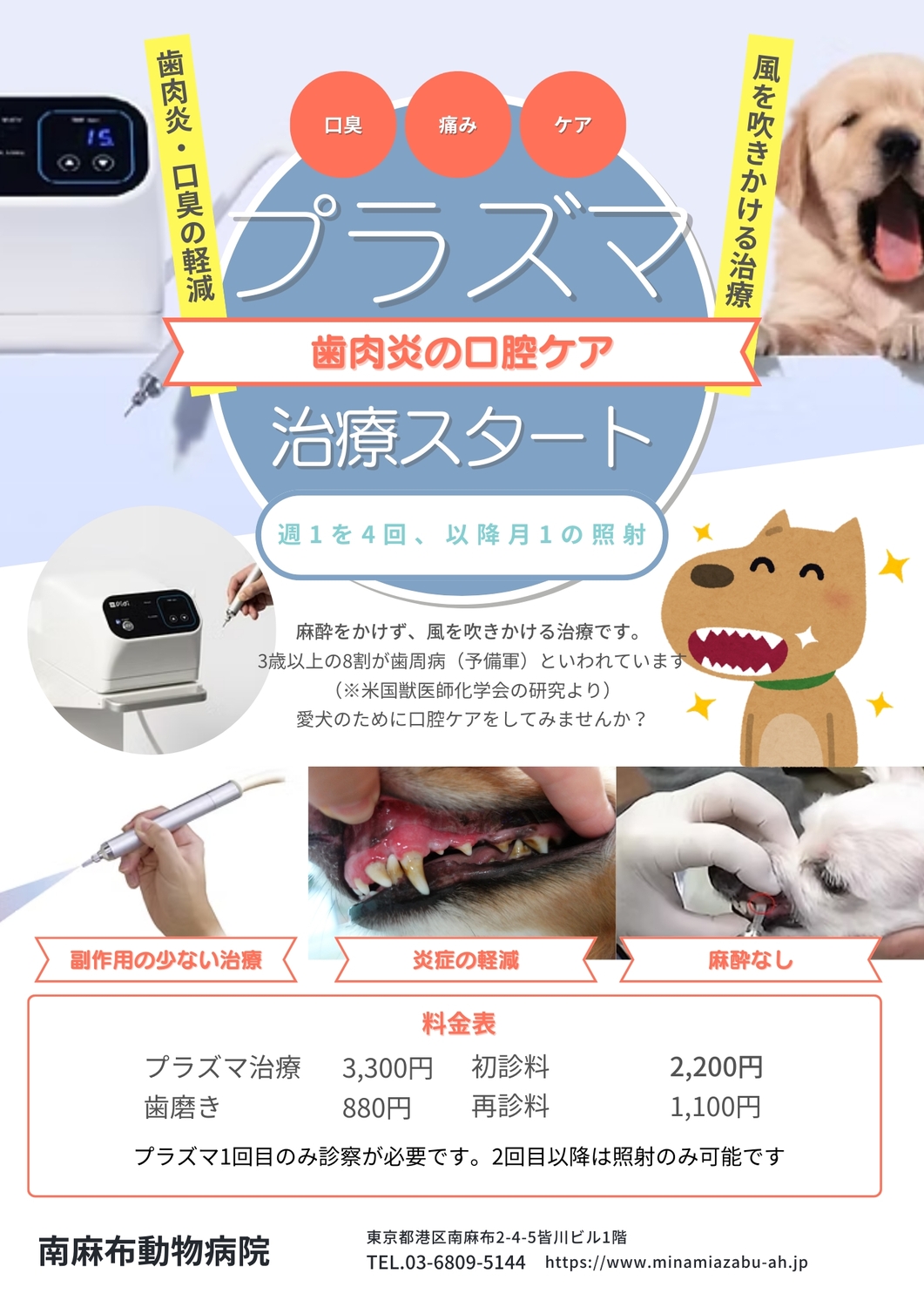プラズマ治療スタート 南麻布動物病院