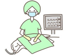 避妊・去勢手術の流れ