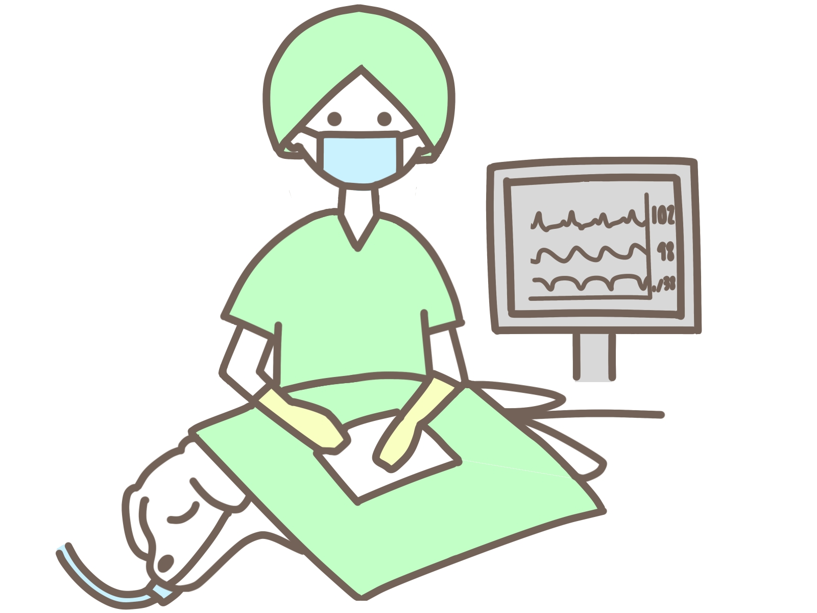 避妊・去勢手術の流れ