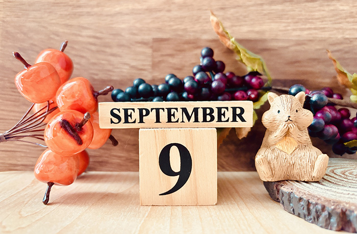 9月の診療日のご案内