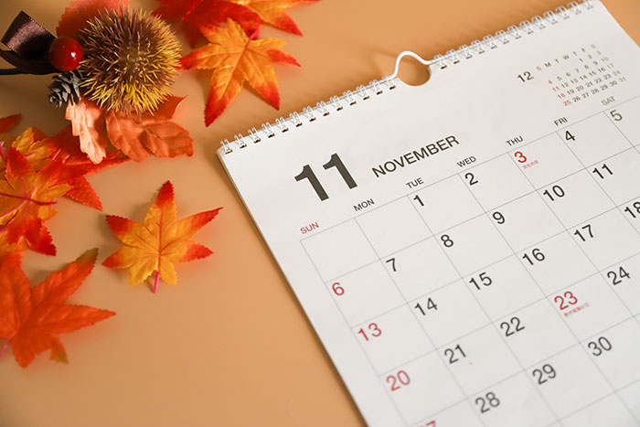 11月の診療スケジュール